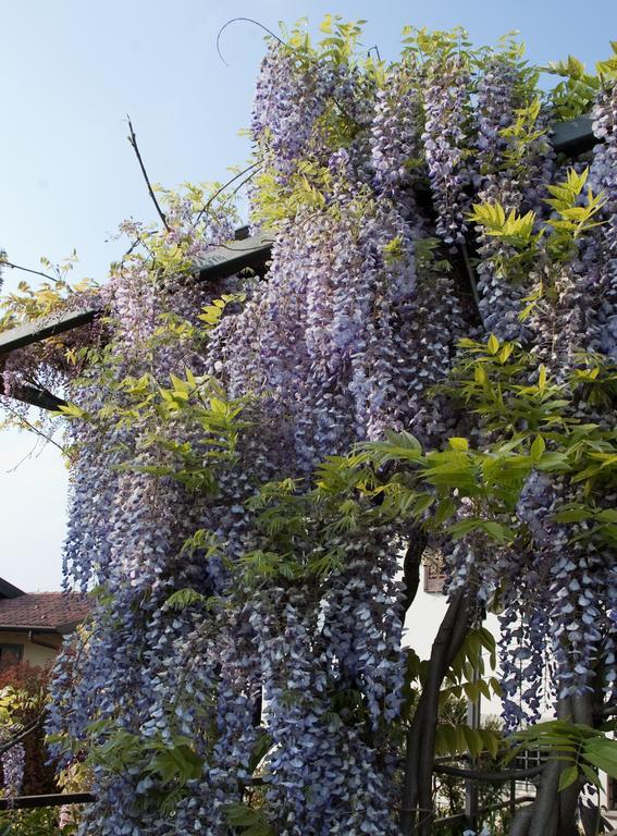 Angelo Del Lotto Bed and Breakfast Ponteranica Exterior foto